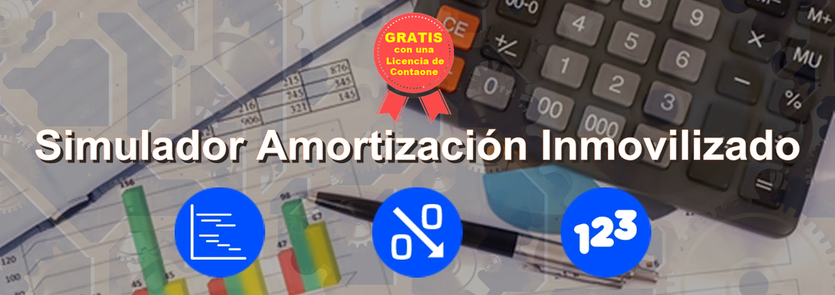 Simulador Amortización Inmovilizado